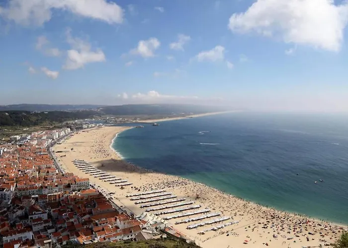 Canelle Com Terraco Daire Nazaré