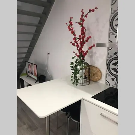 Canelle Com Terraco ナザレ